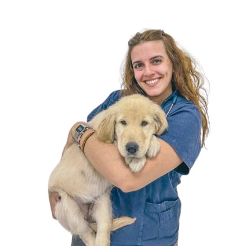 vacina cachorro louveira