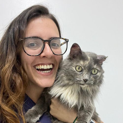 vacina filhote jundiai