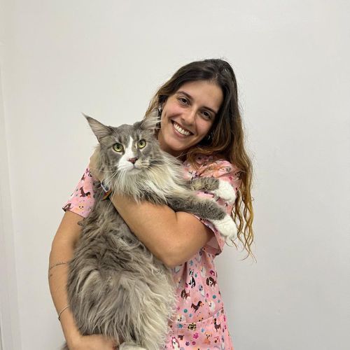 vacina filhote louveira