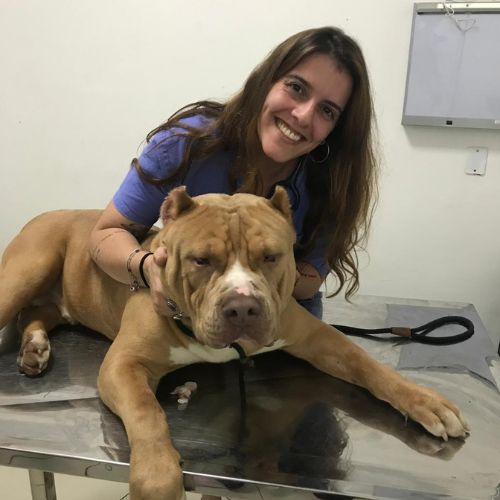 vacina cachorro itupeva