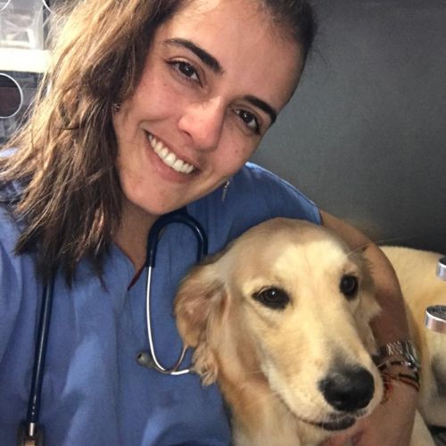 vacina cachorro louveira